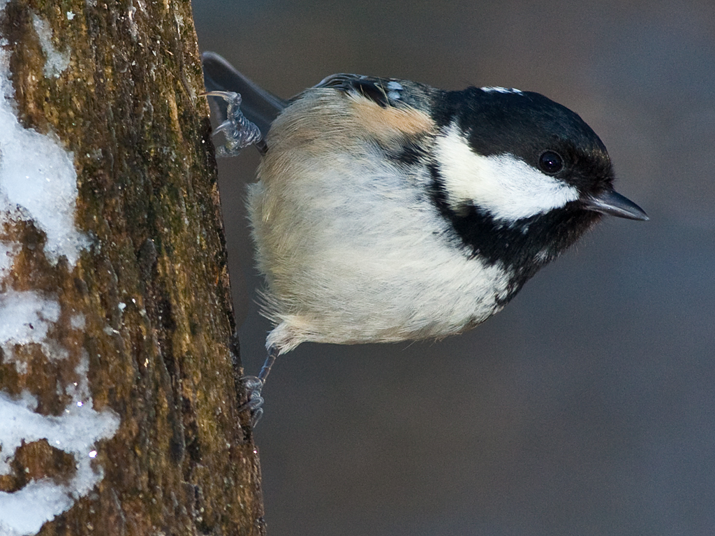 Aperture priority set on a camera