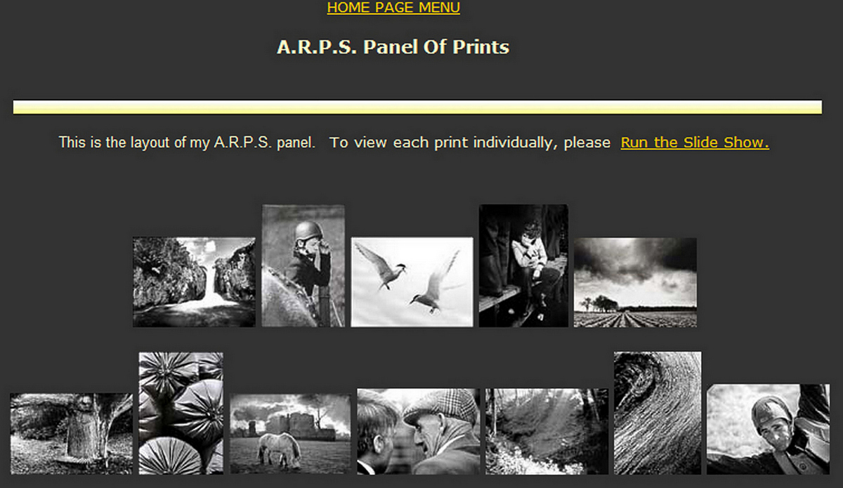 A.R.P.S. Panel info2