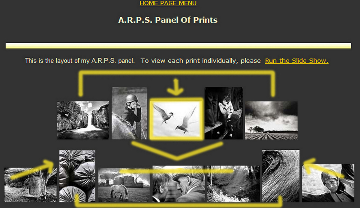 A.R.P.S. Panel info4