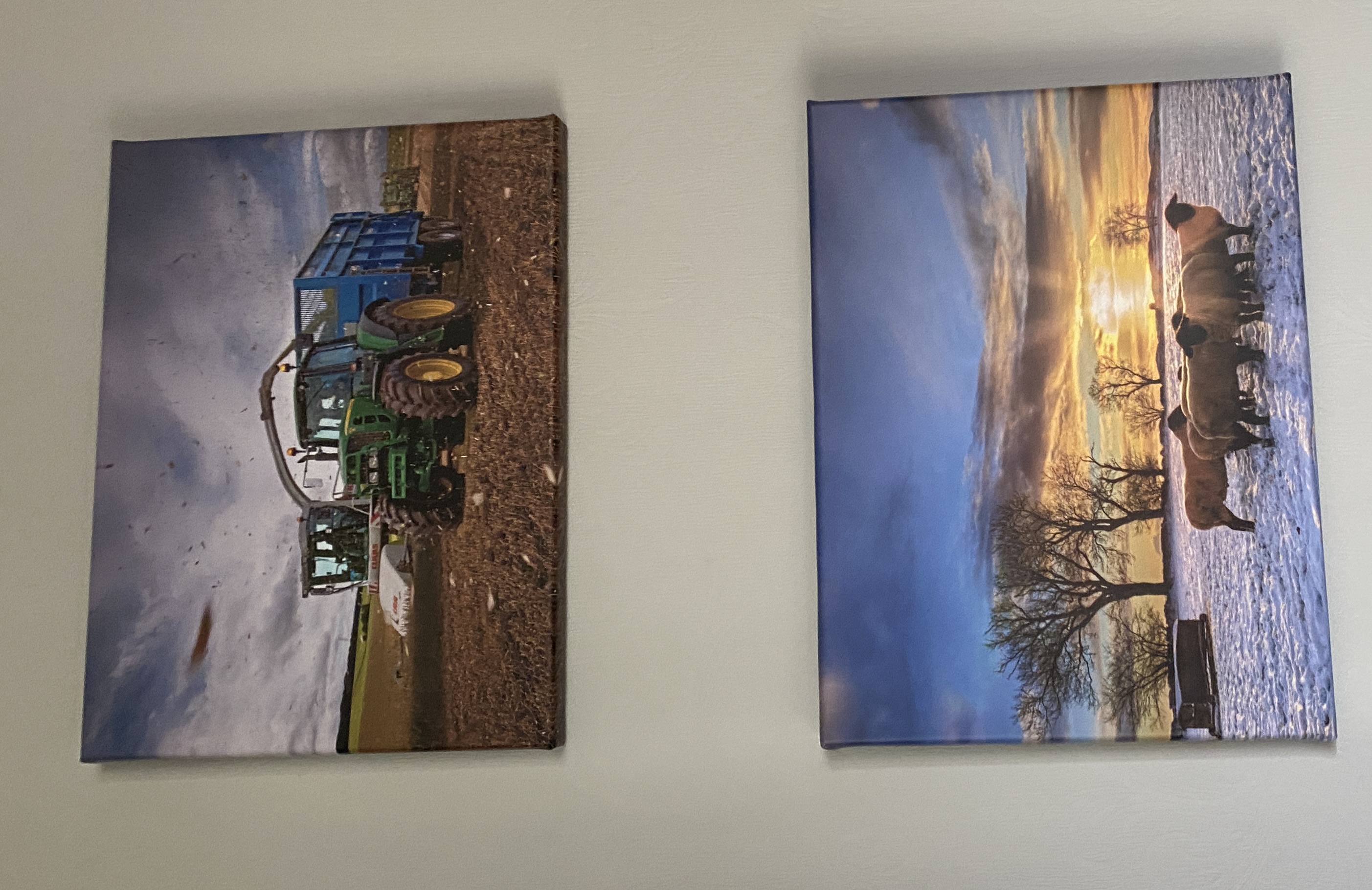 canvas prints
