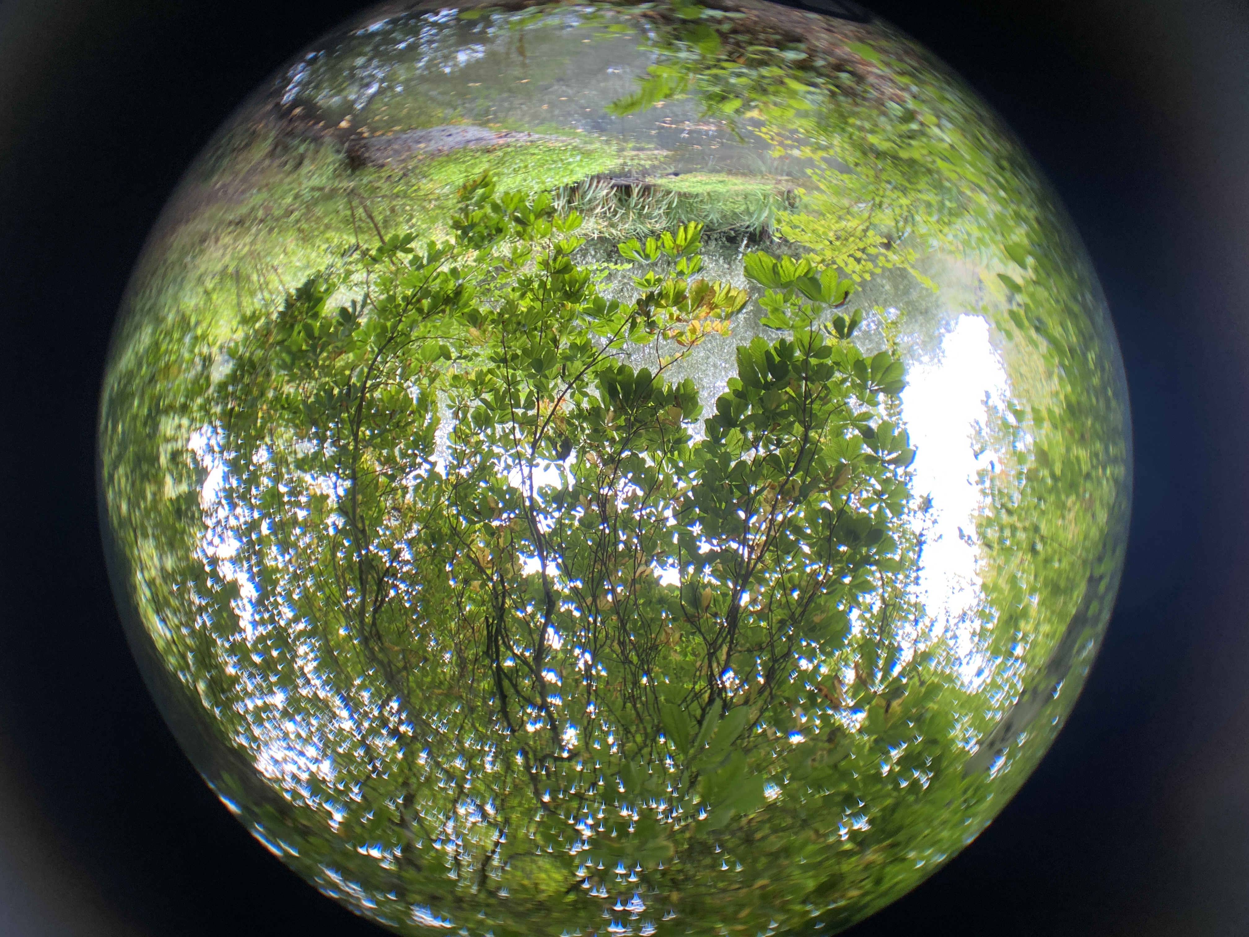 Field of view example