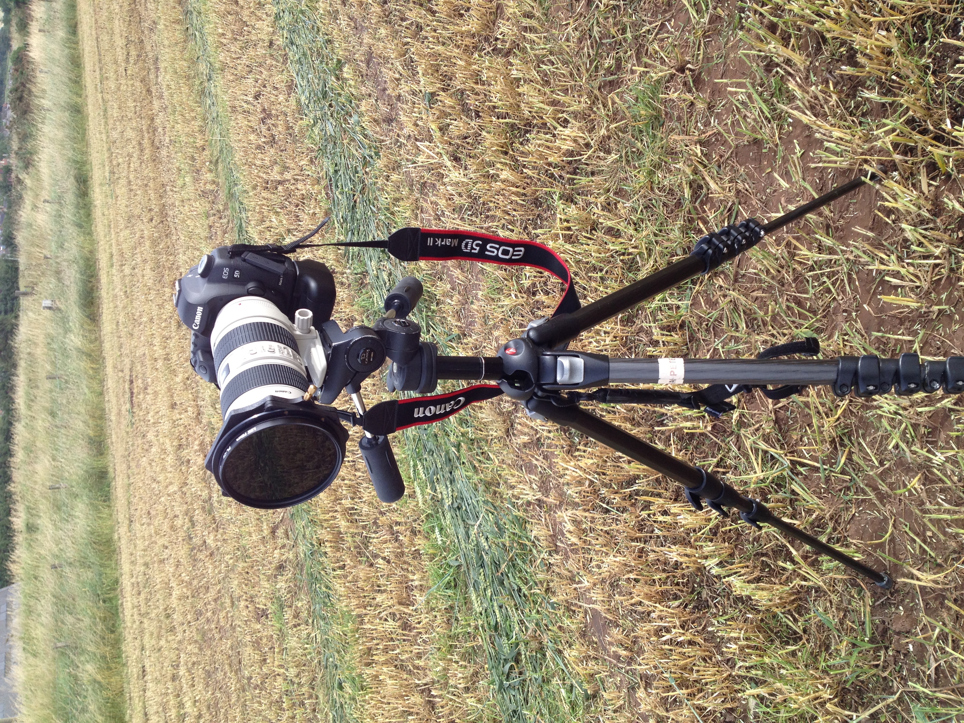 Flip screen, vari-angle screen