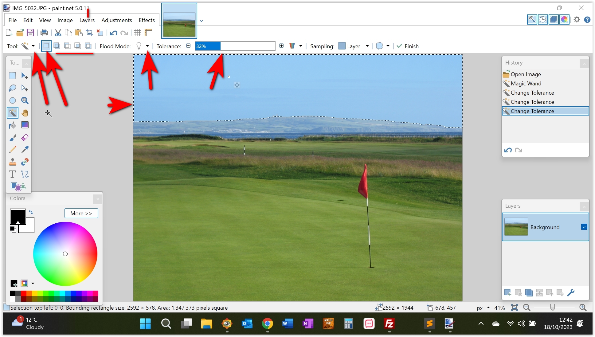 Paint.net Magic wand tool