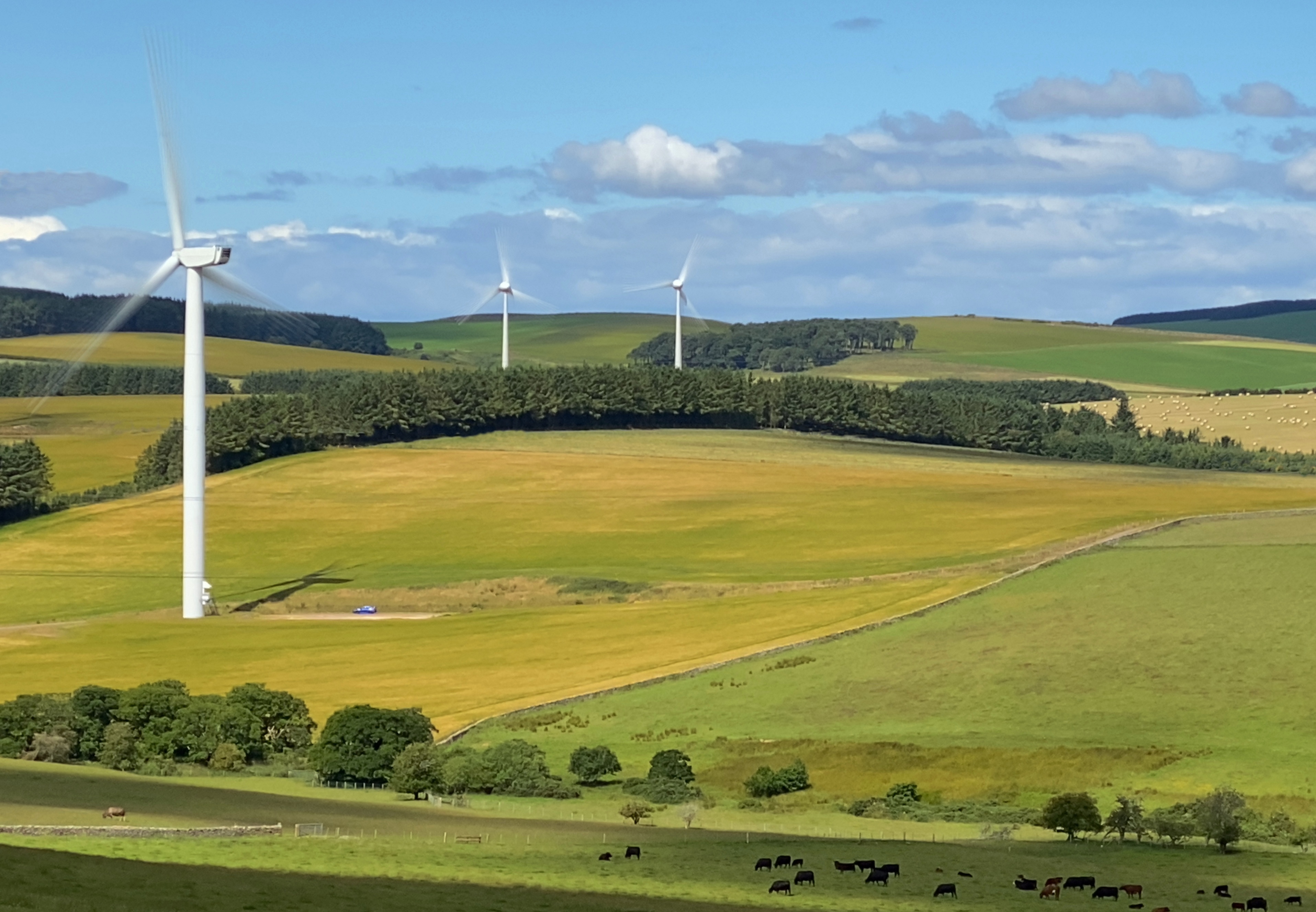 Compostion on a smartphone