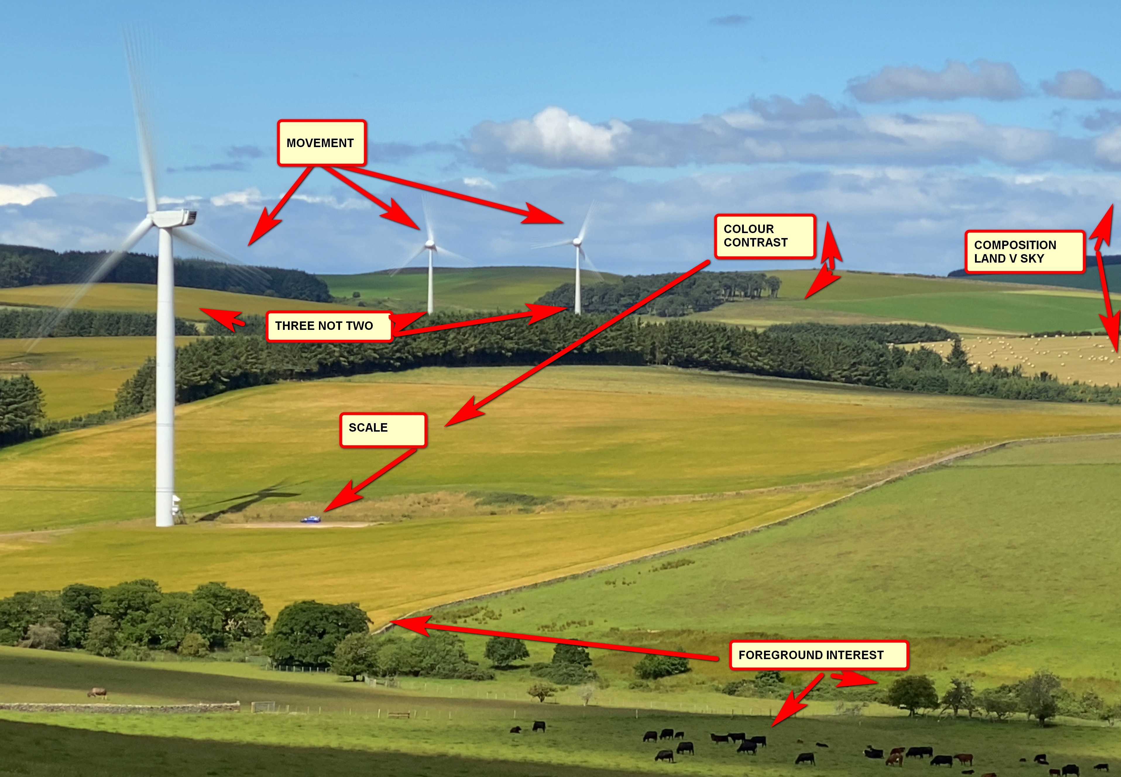 Composition explained on a smartphone