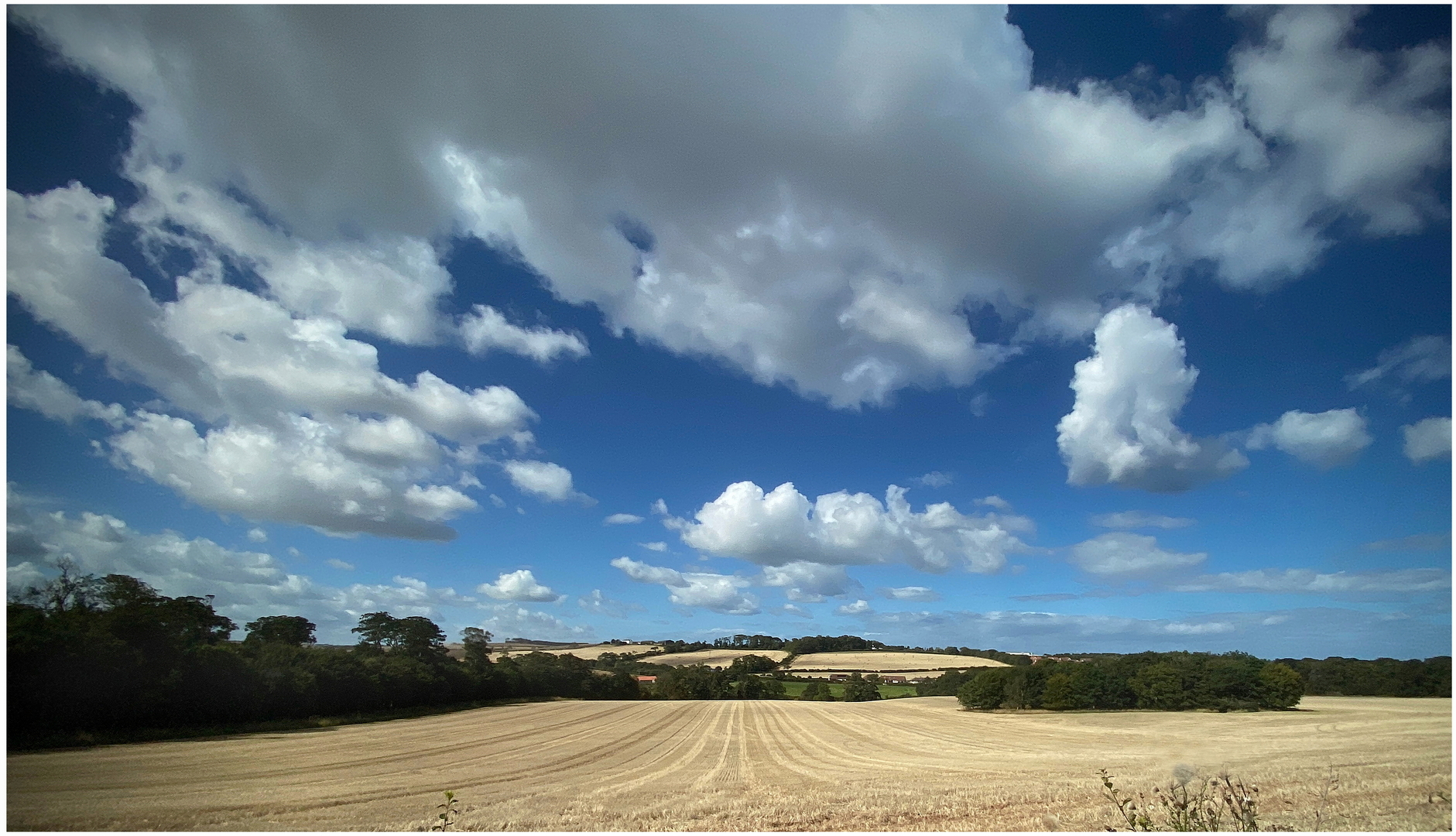 A wide view, taken with a smartphone